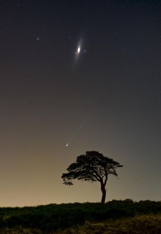 Comet 12P/Pons-Brooks appears as a green streak in the sky above a single silhouetted tree and the andromeda galaxy shining brightly above.