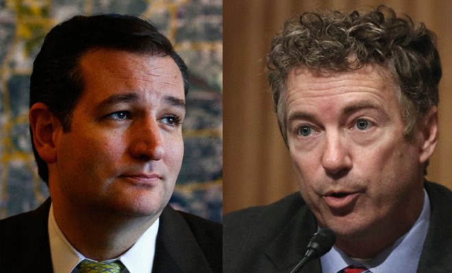 Cruz, Paul