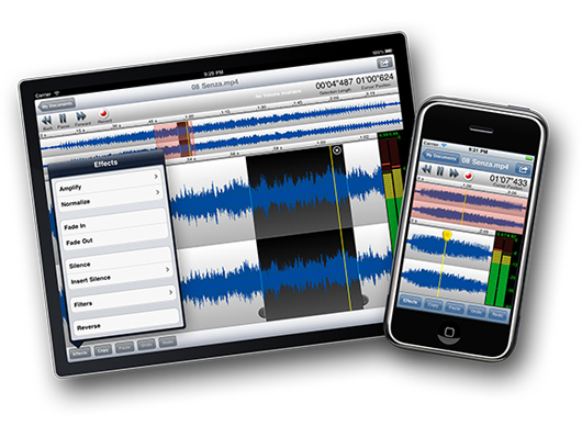 TwistedWave Audio Editor, £5.99