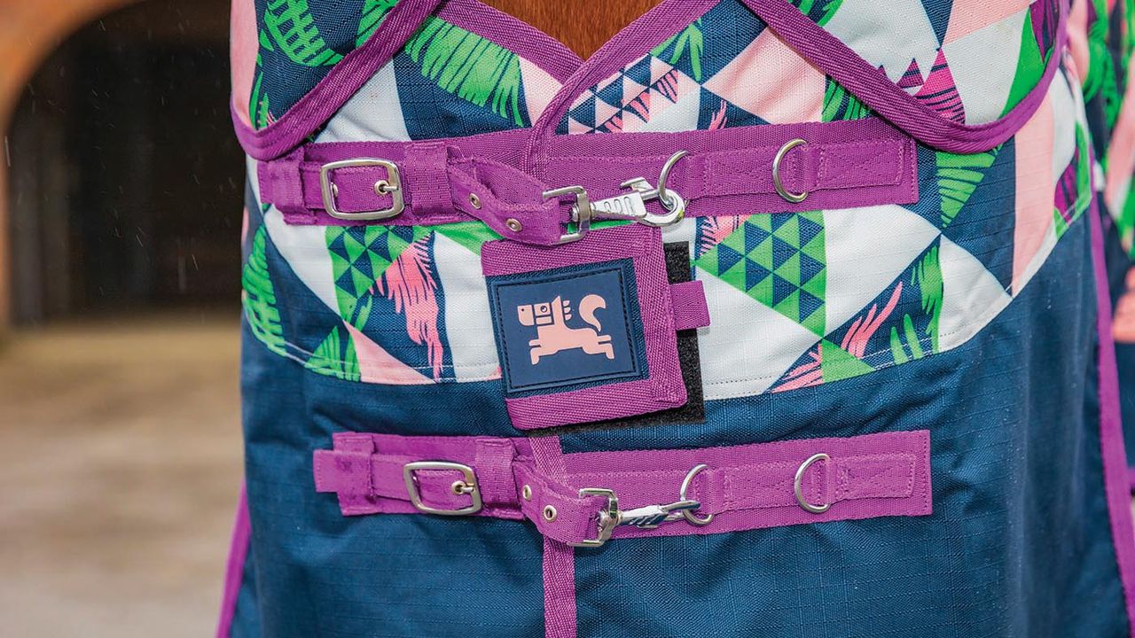 Ponyo 100g turnout rug review