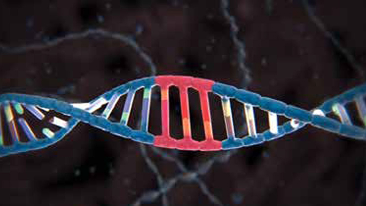 Developing Your Company’s DNA