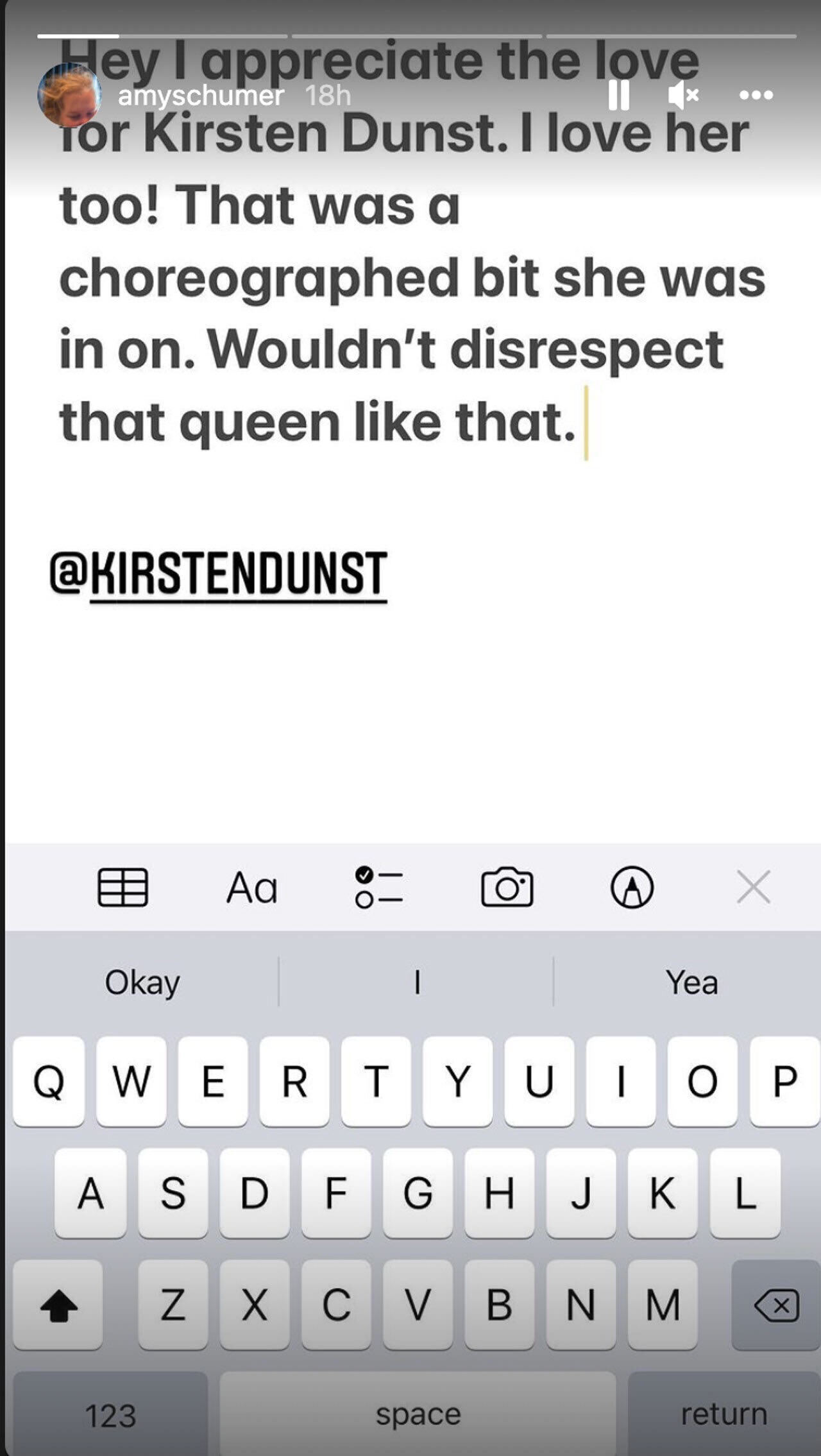 Instagram post of Amy Schumer tagging Kirsten Dunst in an Oscars explanation