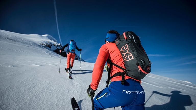 ISPO facto