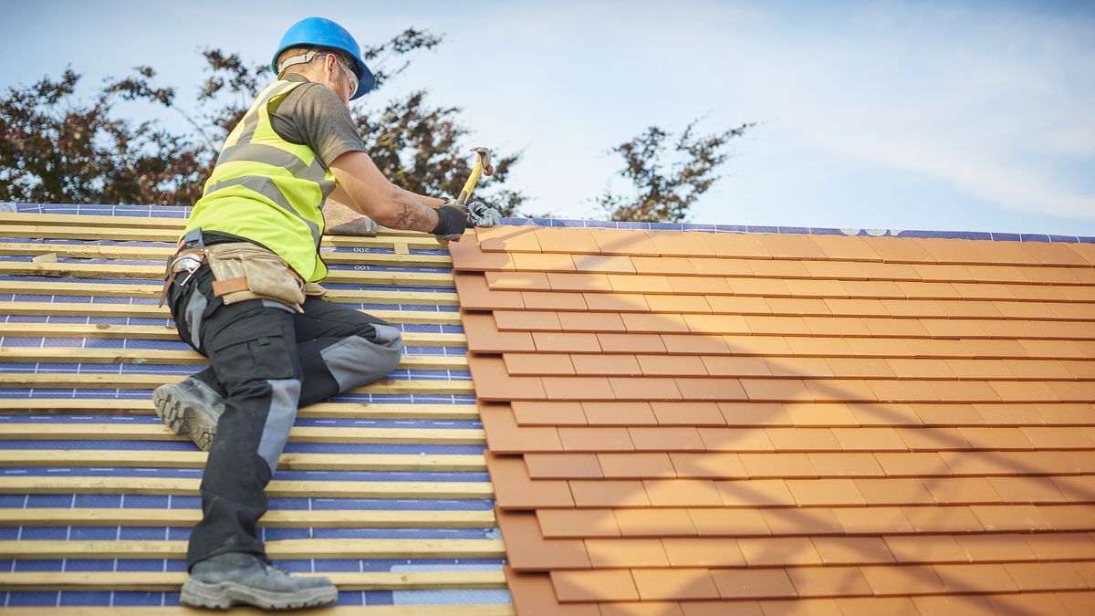 Undertaking Roof Repairs or a Loft Conversion? Here’s What You Need to ...