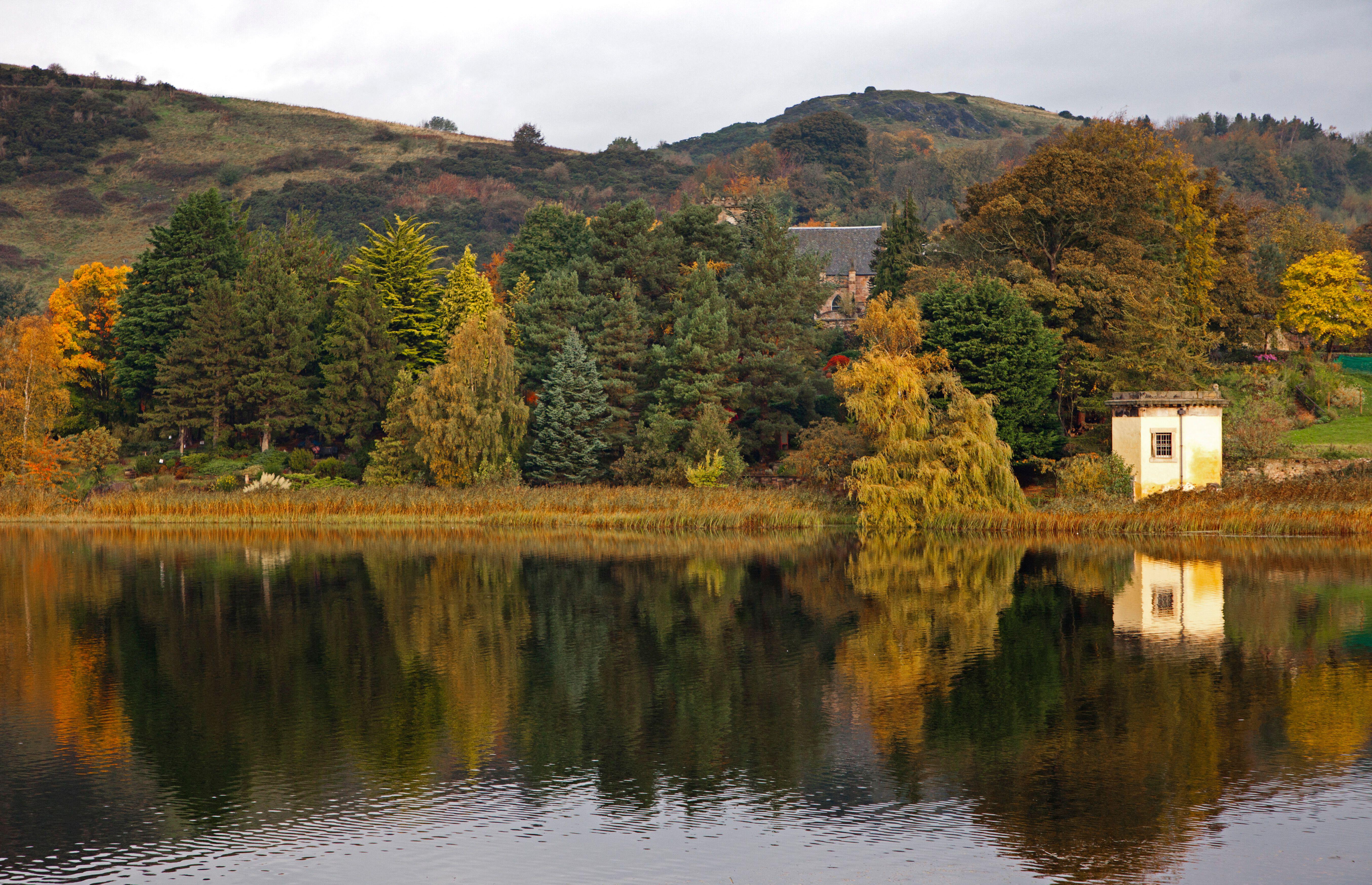 In Autumn Duddingston Loch with the reflected Thomson's Tower in foreground and Duddingston Kirk nestled in with the the conifer evergreen trees in Dr Neil's Garden. The Tower designed by William Henry Playfair built in 1825 for the Duddingston Curling Society to store its stones. A meeting place for the curlers and a studio for the respected artist the Rev. John Thomson, minister of Duddingston from 1805 till 1840
