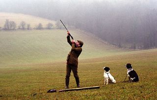 Shooting at pheasant The Ford Shoot in the Cotswolds