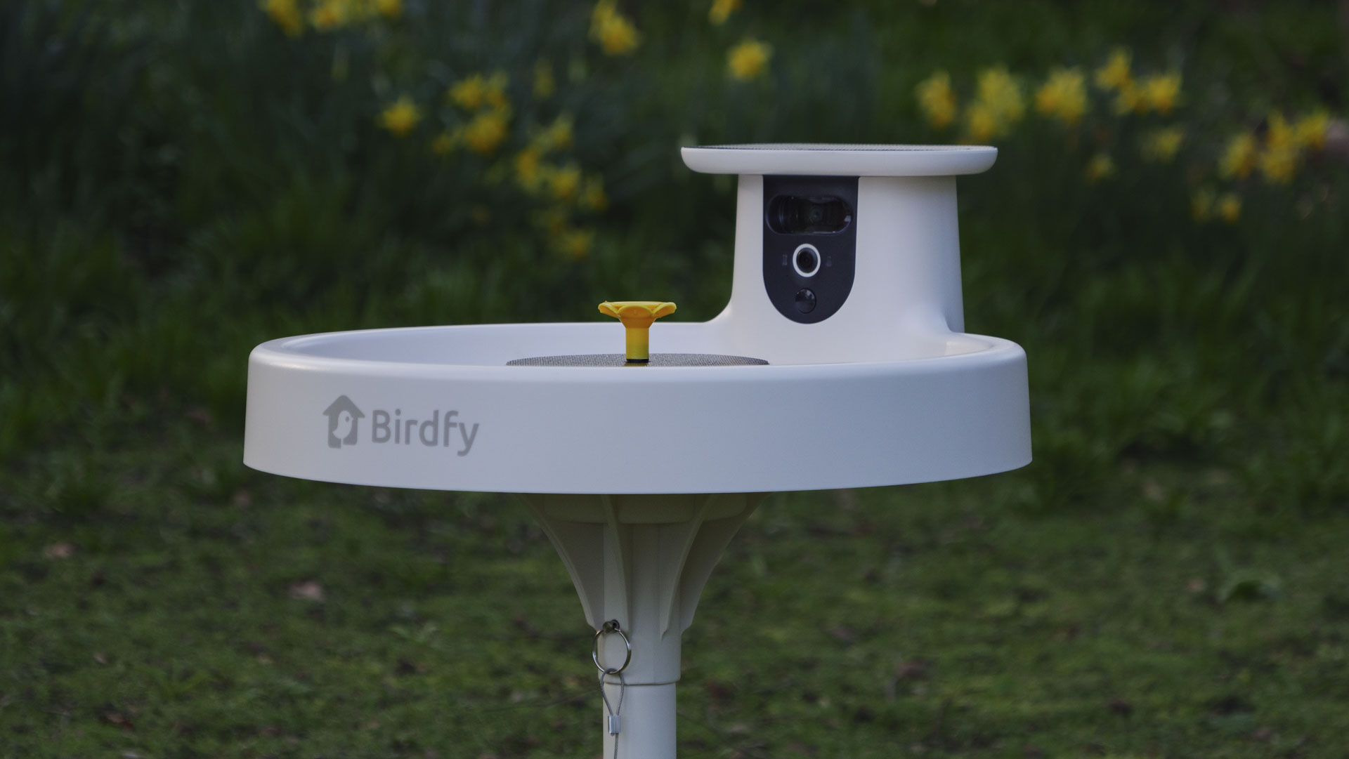 Birdfy Bird Bath Pro camera in a garden