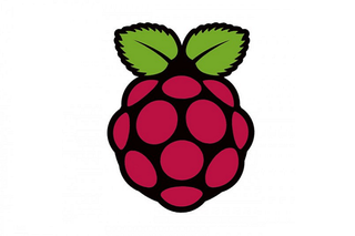 The Raspberry PI logo, a stylised cartoon raspberry