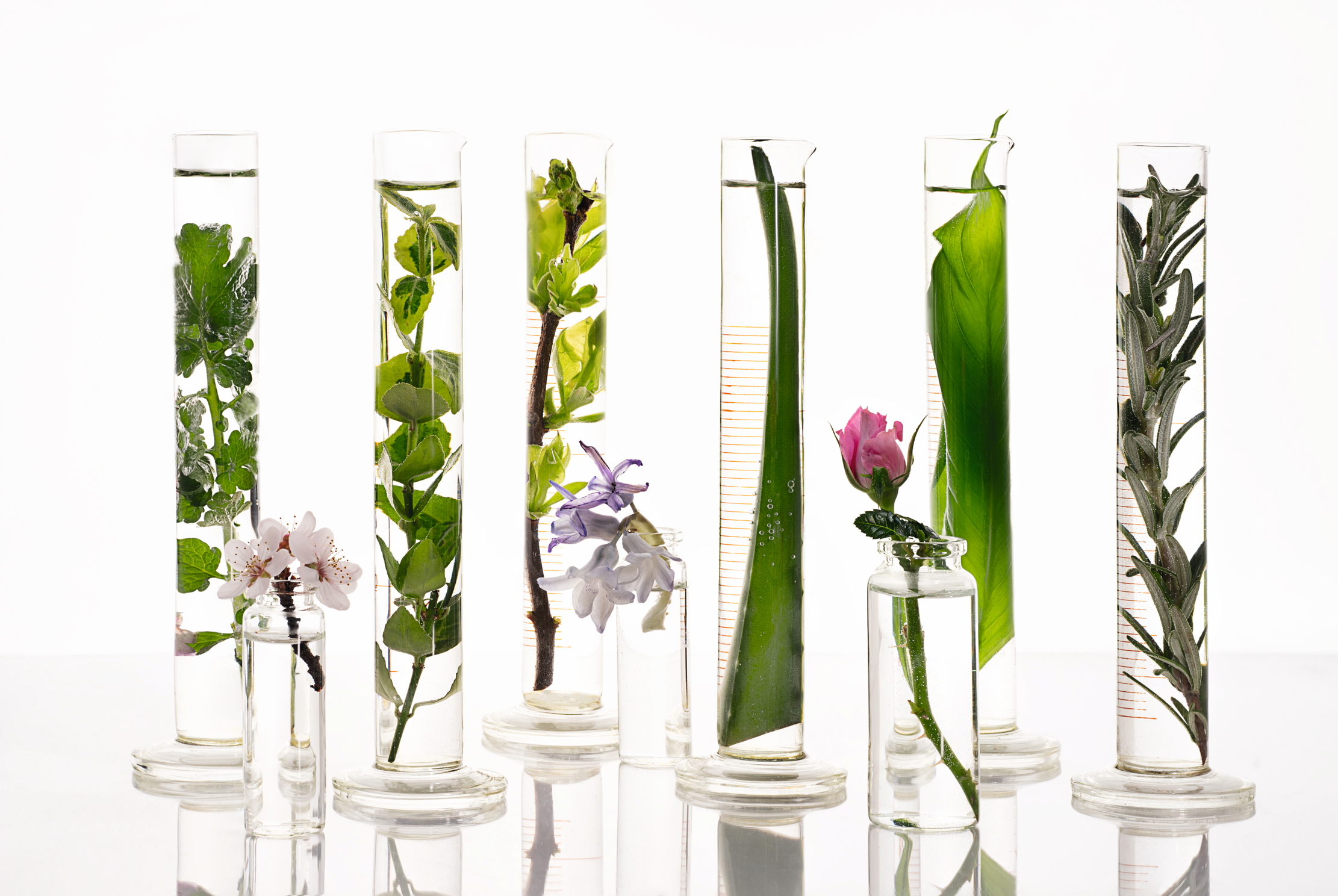 Trendy concept with cosmetic laboratory for creating the natural organic bio beauty products from herbal ingredients, isolated.