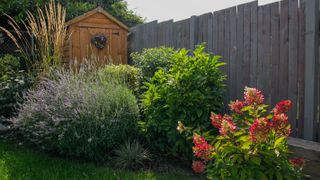 garden shed in garden with full flower bed