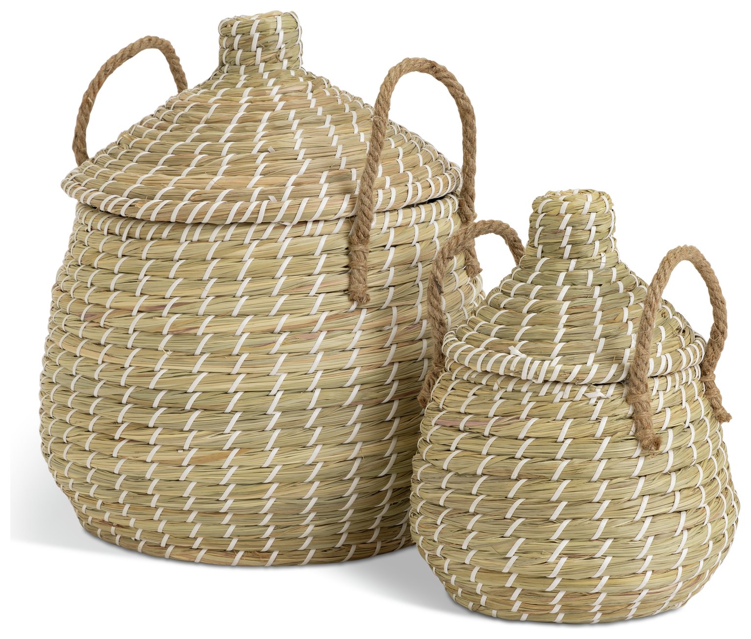 Habitat Pack of 2 Seagrass Lidded Round Basket - Natural