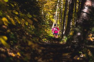 trail runner in woodland