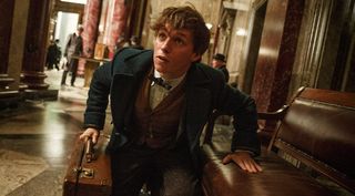 newt scamander