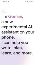Gemini in the prompts for Assistant with Bard.