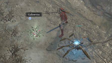 Diablo 4 Gallowvine