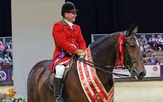Starry-Night-1st-Maxi-Cob-of-the-Year-ridden-by-Robert-Walker-and-owned-by-Camilla-Neame
