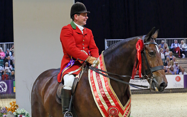 Starry-Night-1st-Maxi-Cob-of-the-Year-ridden-by-Robert-Walker-and-owned-by-Camilla-Neame