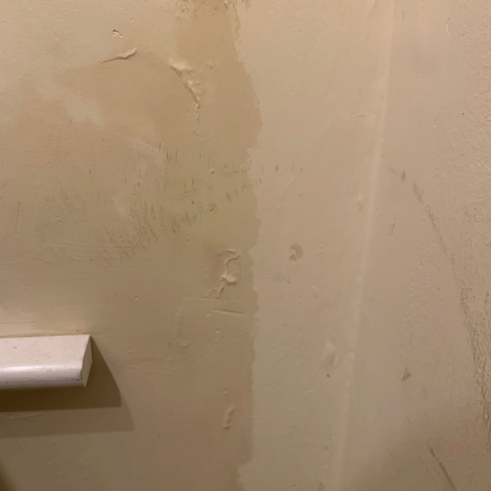 white dehumidifier next to damp wall