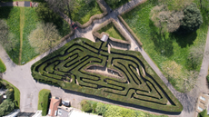 Hampton Court Palace maze aerial photo from drone