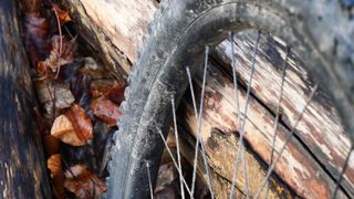 Hunt E-All Mountain wheel leaning against a log