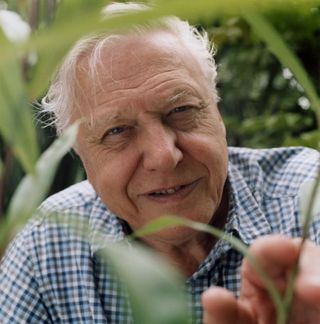 sir_david_attenborough