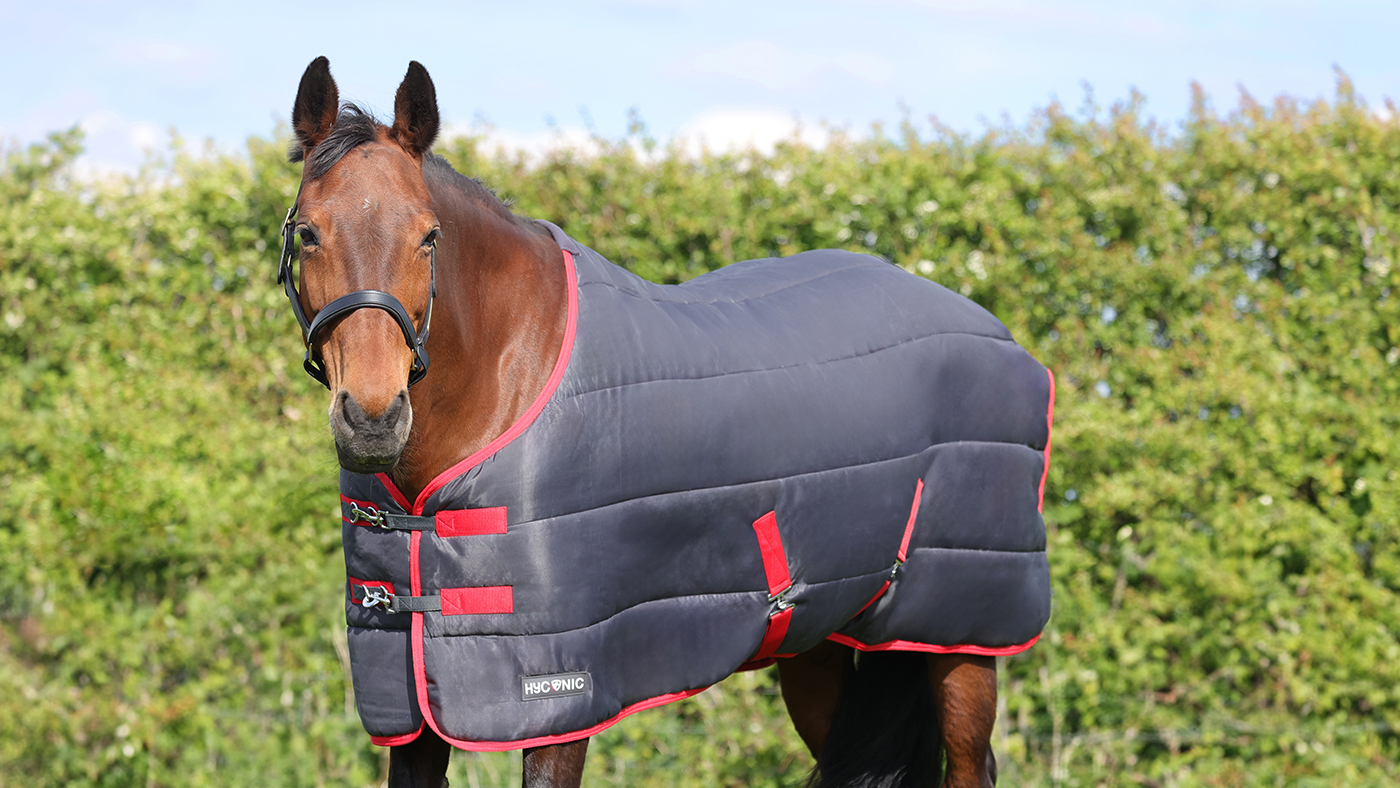HyConic stable rug