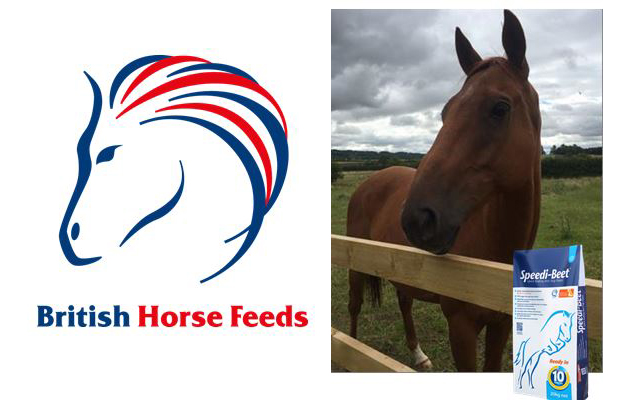 British-Horse-Feeds-Feature-Image