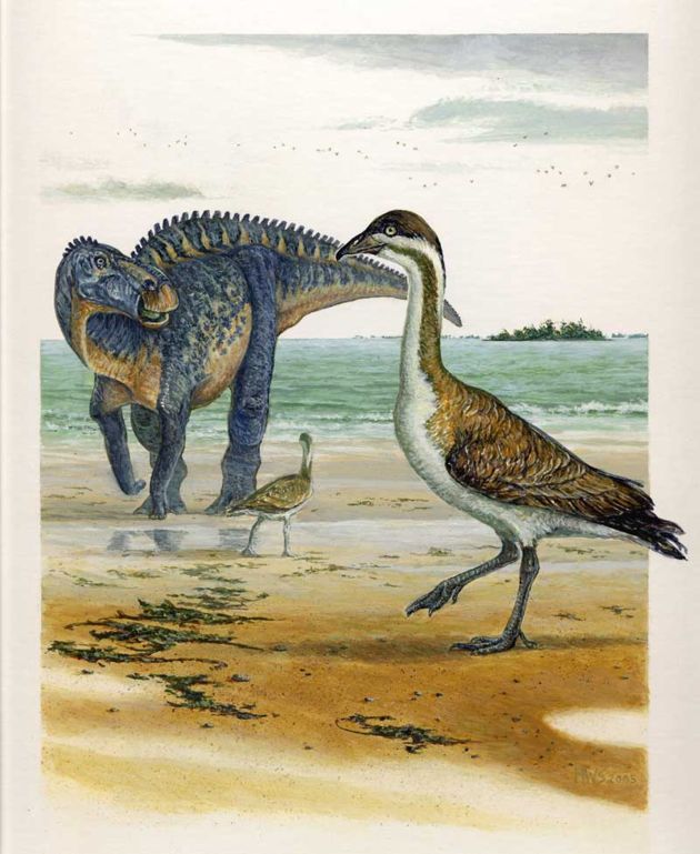 Birds To Dinosaur: Flaws of the Dinosaur-Bird Hypothesis