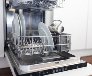 Open clean dishwasher full of clean plates and silverware.