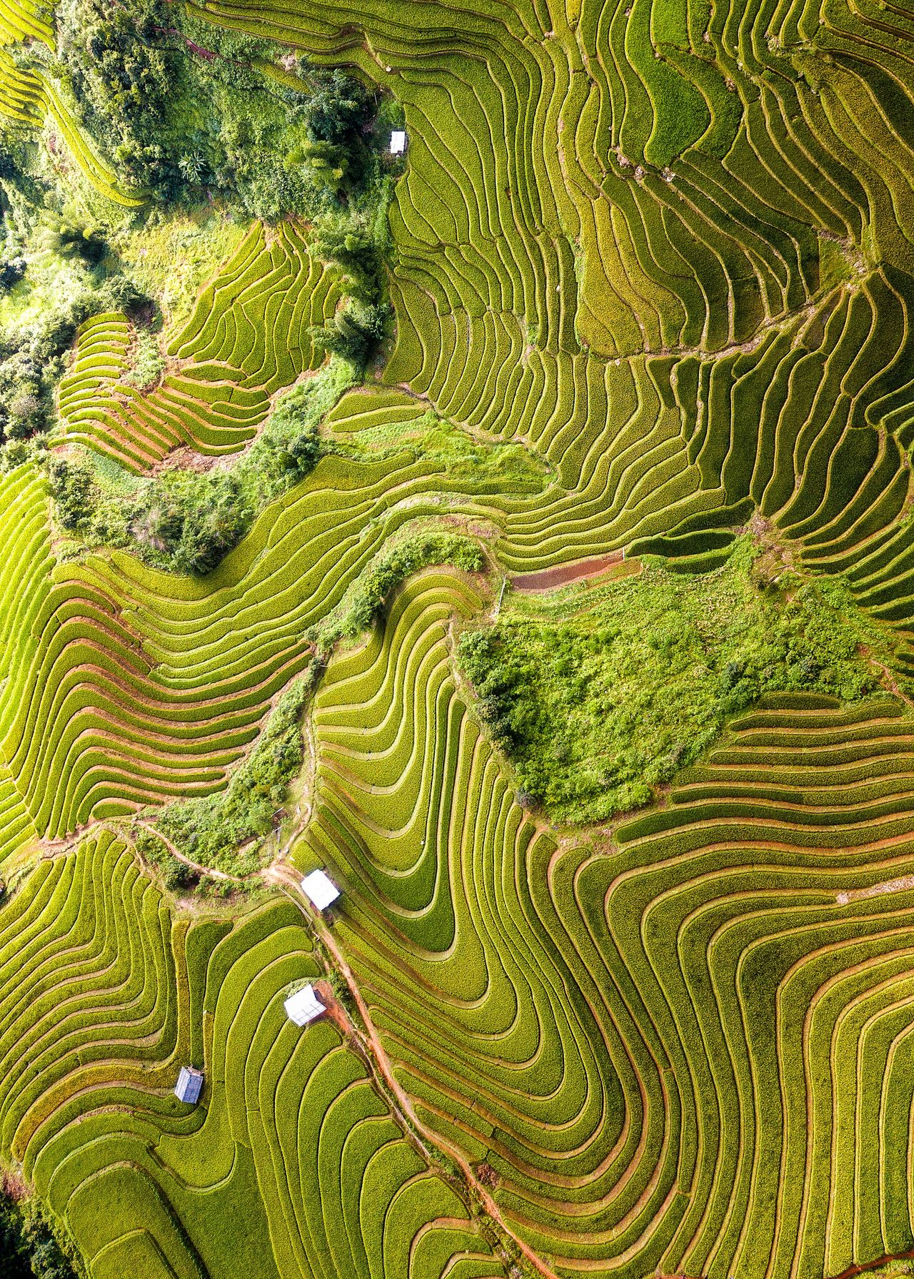 An aerial view of the Vietnamese countryside.