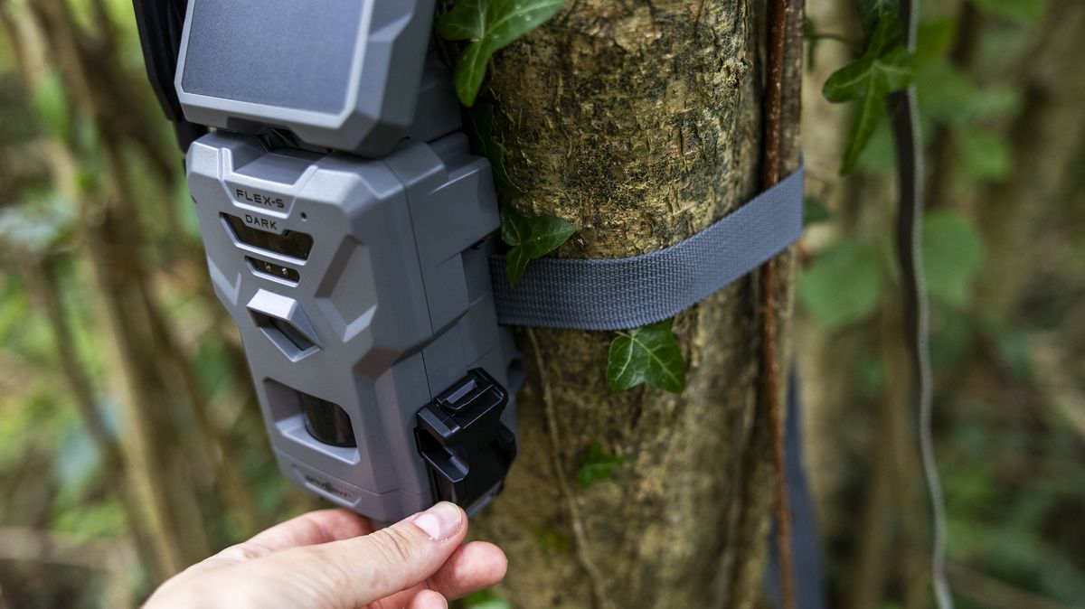 The Spypoint FLEX-S-Dark trail camera in a woodland