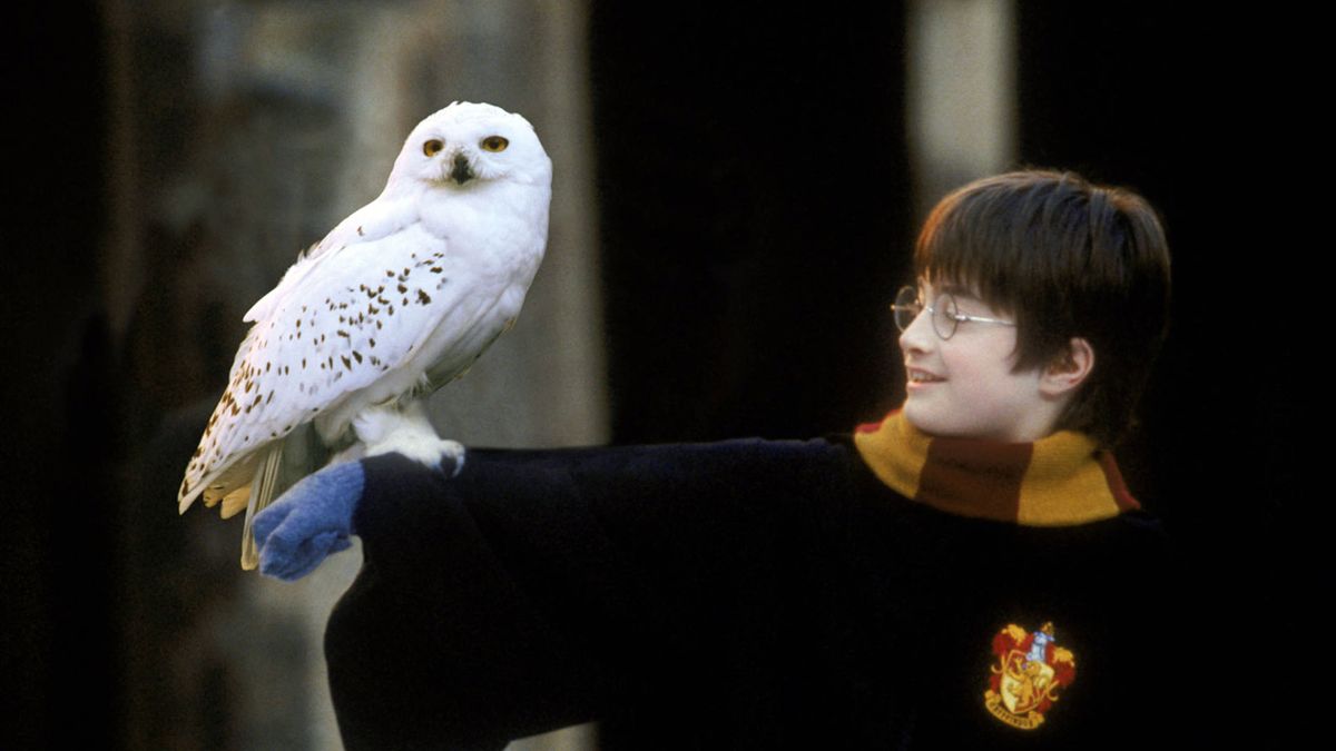 El reboot de Harry Potter, producido por HBO, comenzará a filmarse en ...