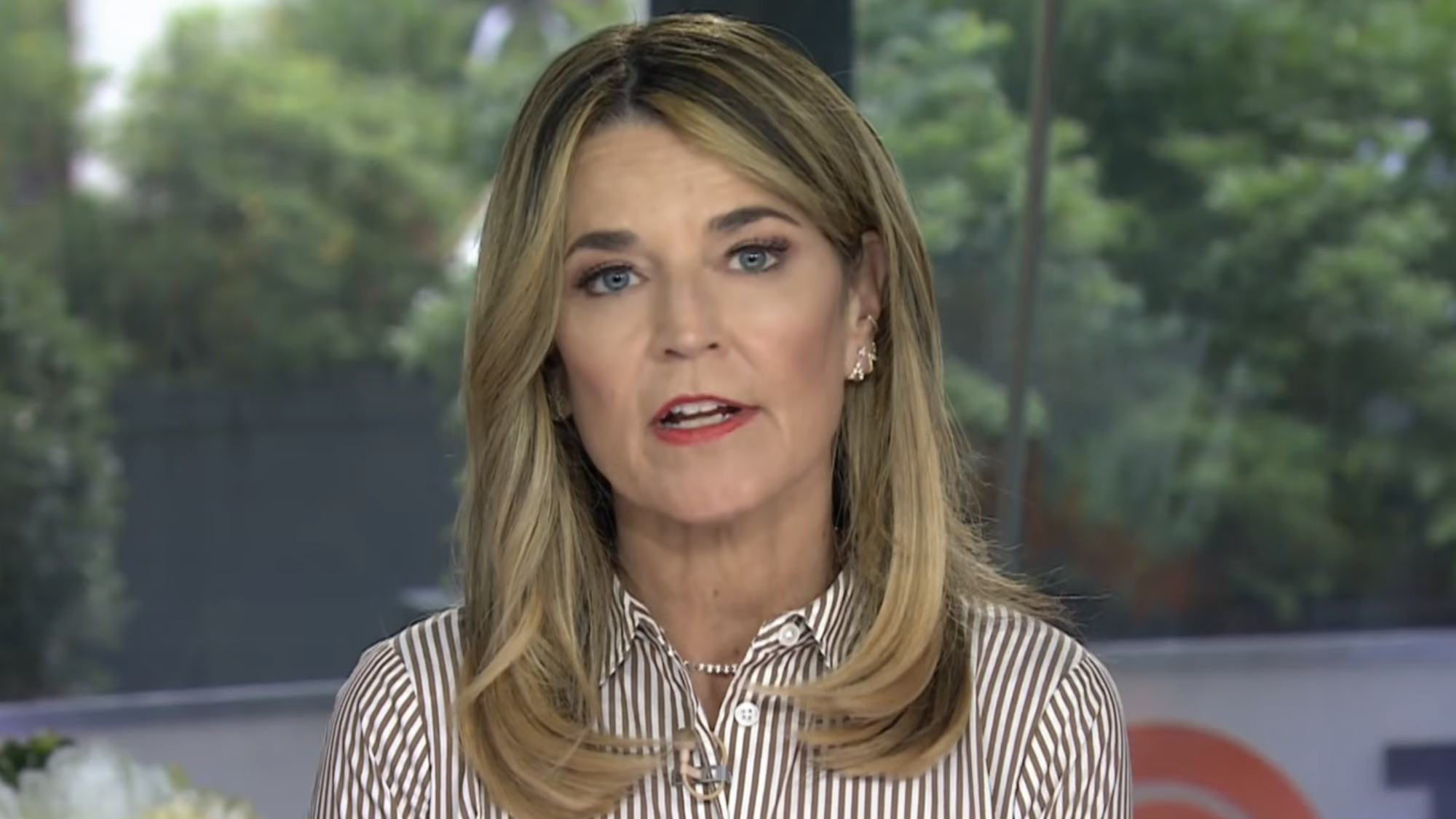 Savannah Guthrie appears on The Today Show.