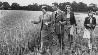 The Queen (later the Queen Mother, 1900 - 2002) leads her family on a tour of Sandringham Park, which has been turned over to agricultural production in aid of the war effort, August 1943. With the queen are (left to right): King George VI (1895 - 1952) and princesses Elizabeth (later Queen Elizabeth II) and Margaret (1930 - 2002).