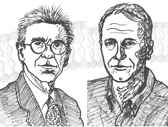 nobel in chemistry awardees