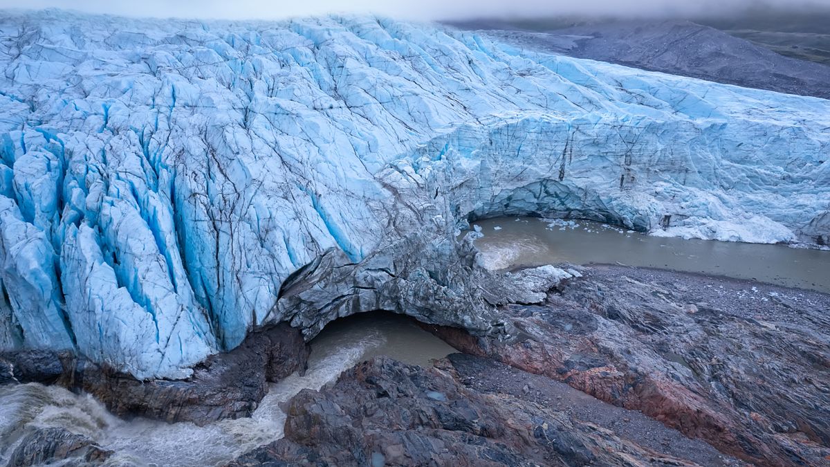 Fossils from the icy heart of Greenland show that less than a million years ago it was a green, flower-covered tundra