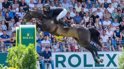 A dark bay showjumping horse stretches to clear an upright fence in the main arena at Aachen, Germany