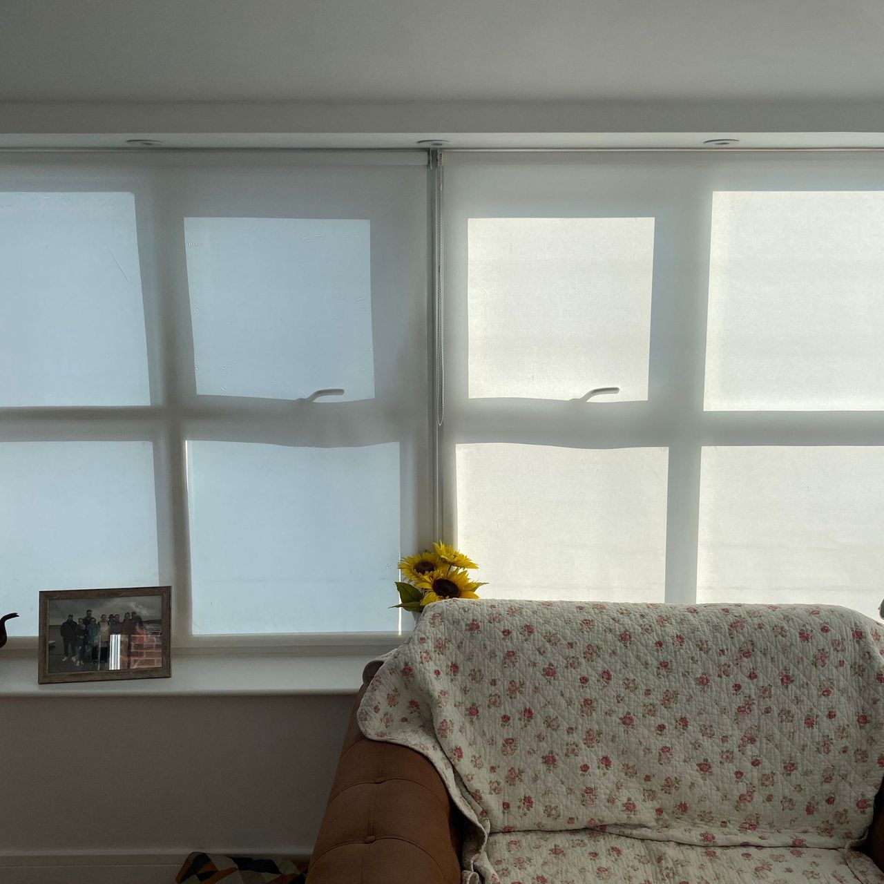 Side by side windows behind white blinds, two with solar reducing window film and two without