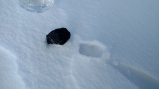 A rock, pulled out of the snow, that meteorite-hunters say likely traces back to a fireball that exploded over Ann Arbor, Michigan Jan. 16, 2018.