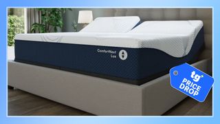 A Sleep Number ComfortNext Lux mattress on a bed frame in a bedroom. A blue border surrounds the image and there's a Tom's Guide Price Drop deals graphic in the bottom right corner