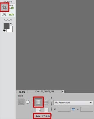 Cropping an image using the Crop tool options