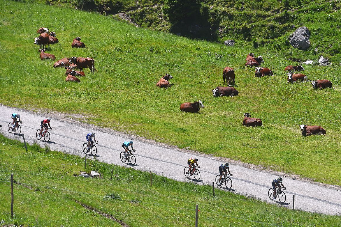 The GC riders at the Crit&eacute;rium du Dauphin&eacute;