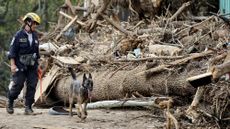 A member of the FEMA Urban Search and Rescue Task Force searches a flood-damaged property with a search canine in the aftermath of Hurricane Helene along the Swannanoa River on October 4, 2024 in Asheville, North Carolina.