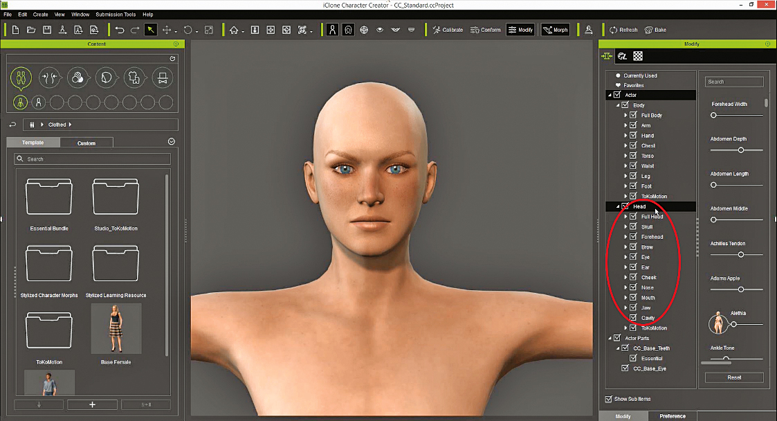When modelling from the head down, remember to constantly check the proportions