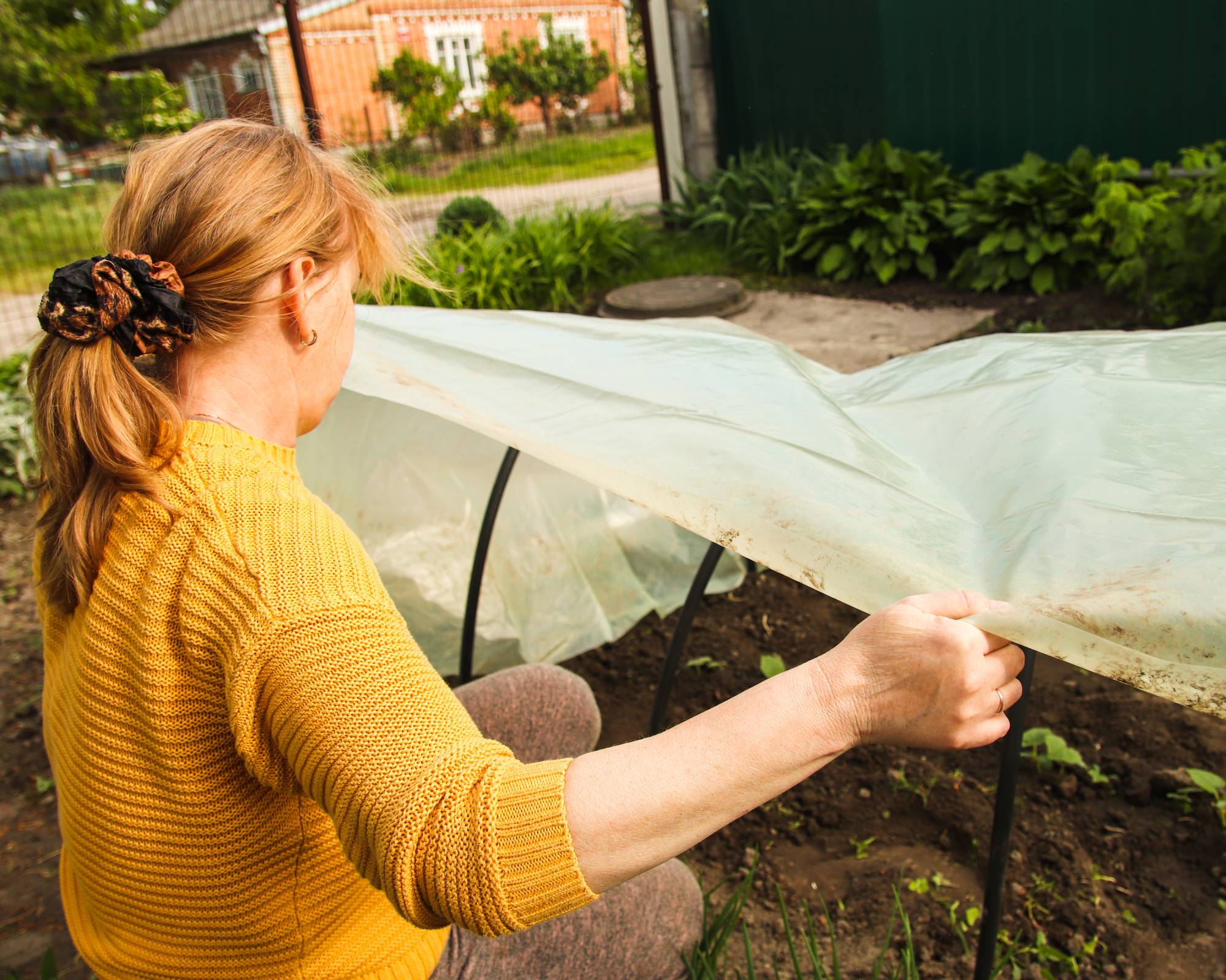 Woman assembling row cover over vegetable garden