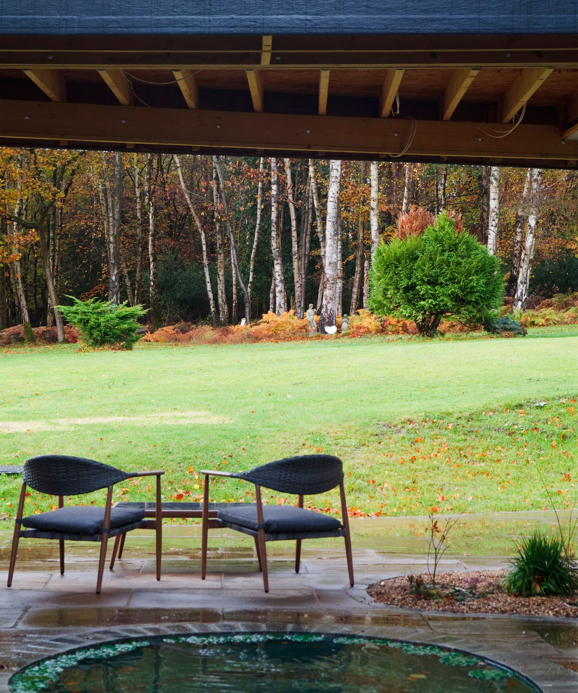 A garden with a small enclosed area with a roof looking into a silver birch forest