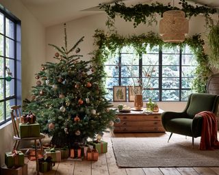 How to care for a Christmas tree Dobbies Nordmann