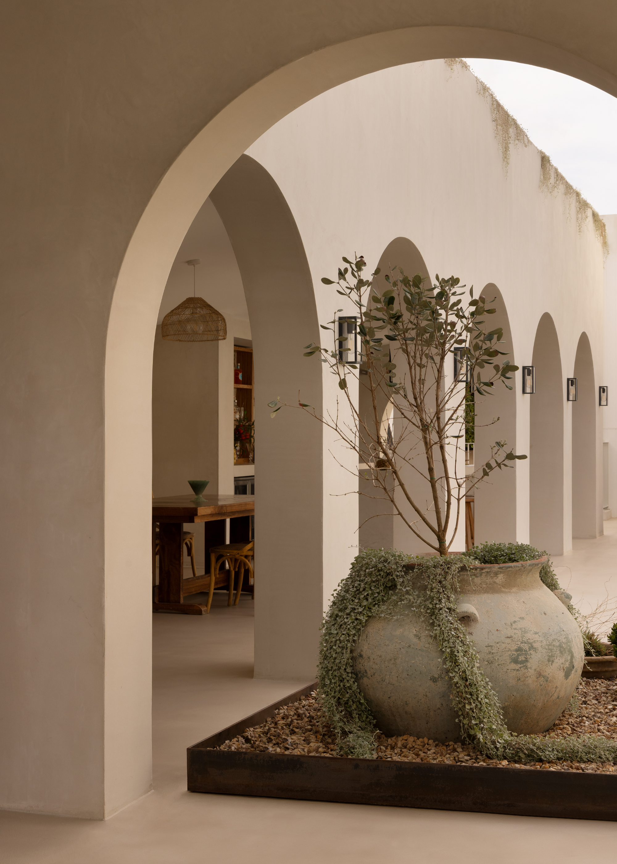 A patio with arched cream patio walls and cream floor paving with a large aged pot with a tall tree and trailing plants