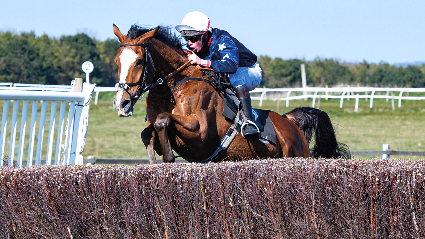 HAH304.p2p_highlights.my_little_cecil_and_mr_d_ellis_pt_highlights_tom_williams_comm1use.jpg