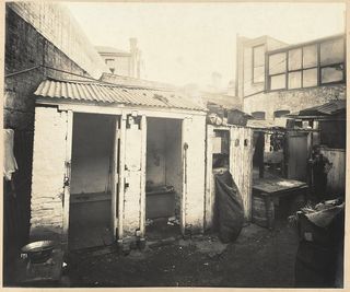 Outhouses in an alley in Sydney.